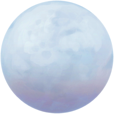 Palemoon Logo